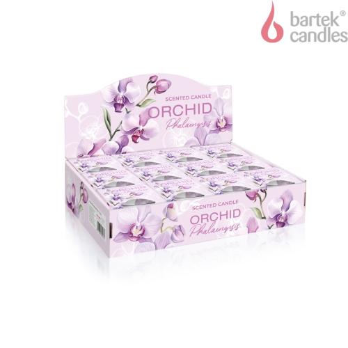 Svíčka v konickém skle 115g -  ORCHID PHALAENOPSIS